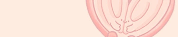 bc9677a2-8aa4-42c0-95bf-7e044f5735a3