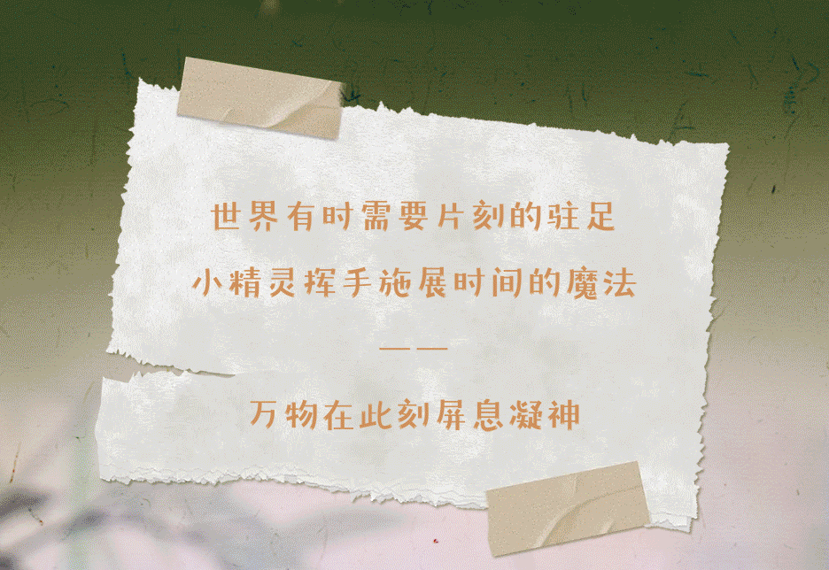 134393b7-0818-4894-9683-1367820f77f7