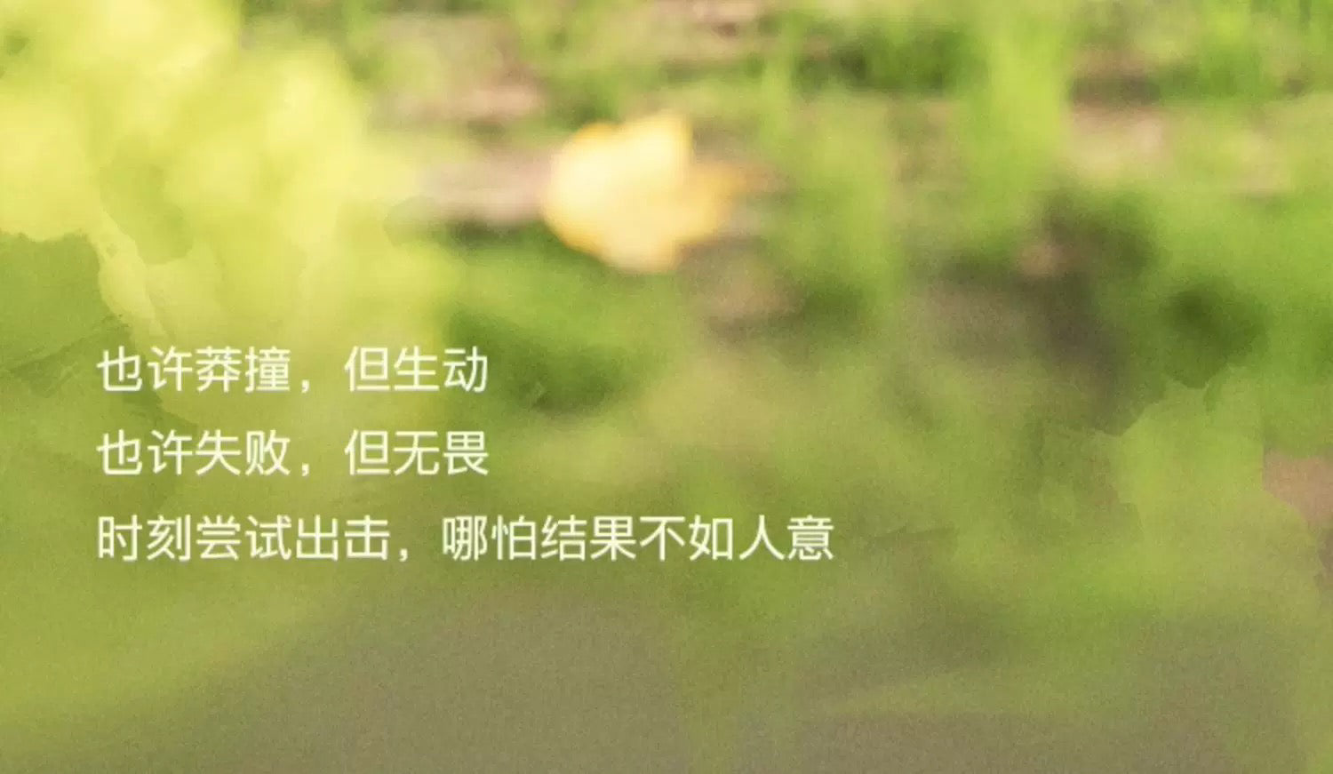 2896a1ec-a4e0-4037-a159-d681505ac507
