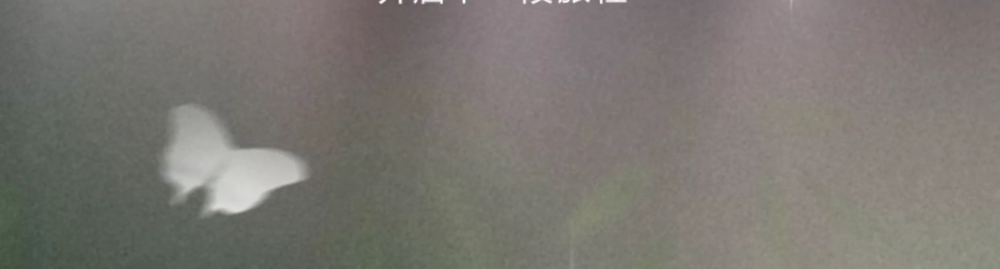 f0a220f1-7c60-447a-83aa-ff28bbbc647a