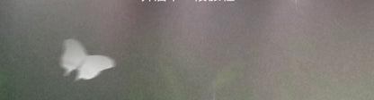 f0a220f1-7c60-447a-83aa-ff28bbbc647a