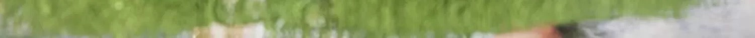 2d0e0f35-e3aa-4db3-9a8a-4c1b0aa9db4b
