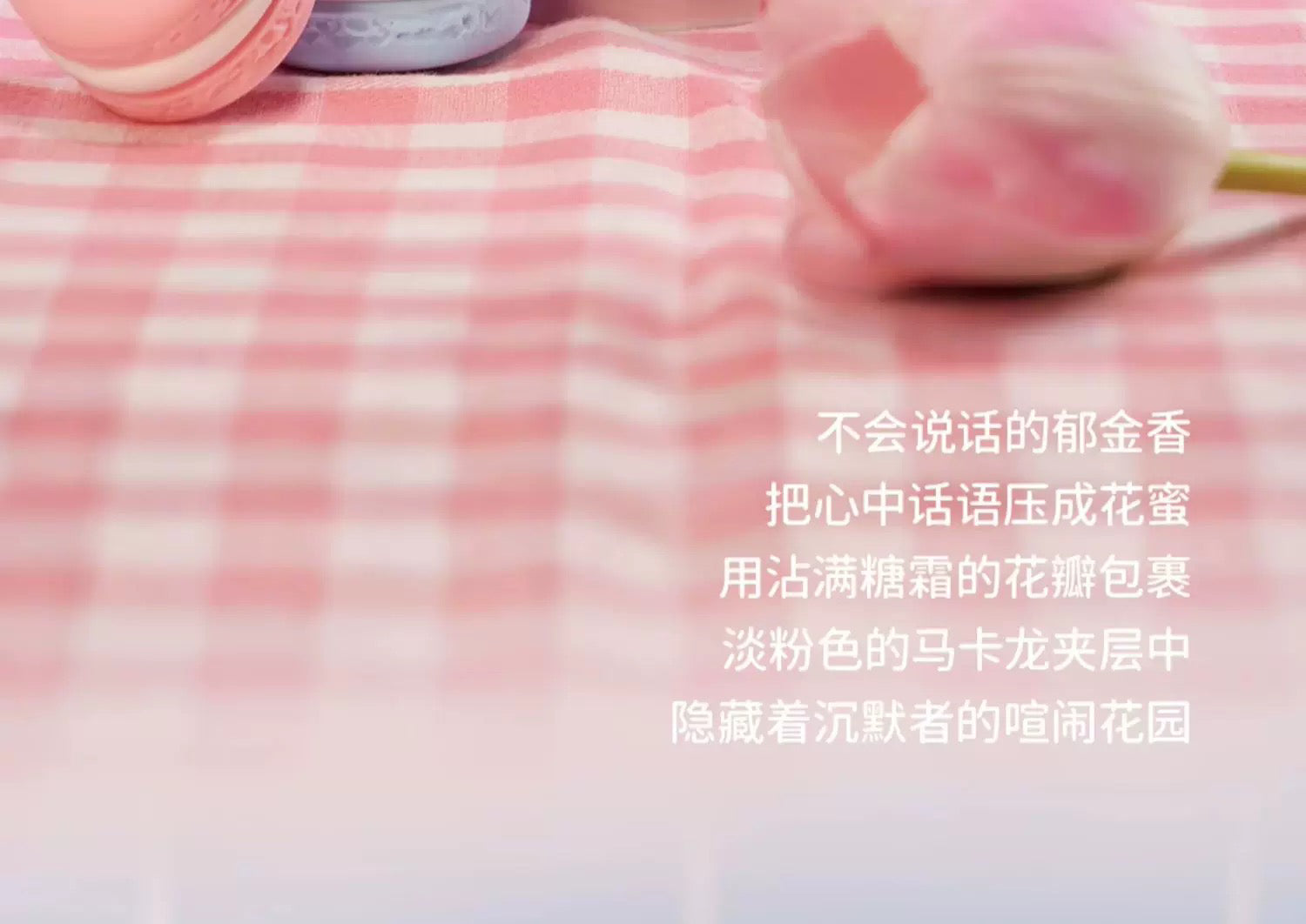 989942aa-40bc-4bfb-bf55-442ec0570442